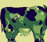 A close up of the side of a cow during an animal husbandry minigame.