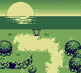 A player character gazing at a sunset.